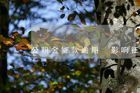 公积金贷款逾期 影响征信吗 公积金贷款逾期 影响征信吗